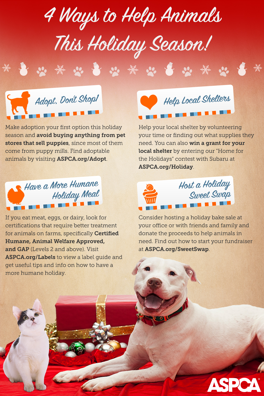 help-animals-this-holiday-season-shareable